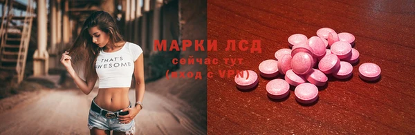 гидра Вяземский