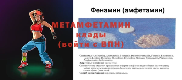 гидра Вяземский