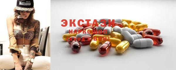 гидра Вяземский