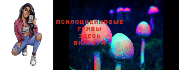 гашик Волоколамск