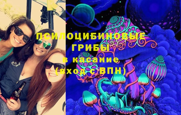 гидра Вяземский