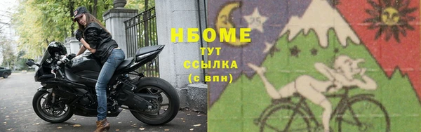 гидра Вяземский