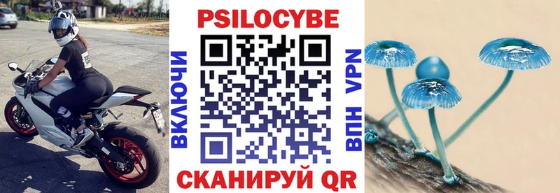 Галлюциногенные грибы Psilocybe  Зима 