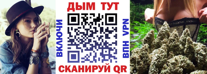 Бошки Шишки планчик  Зима 